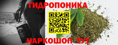 наркотики Новозыбков