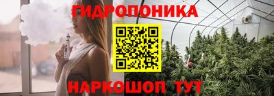 наркотики Новозыбков
