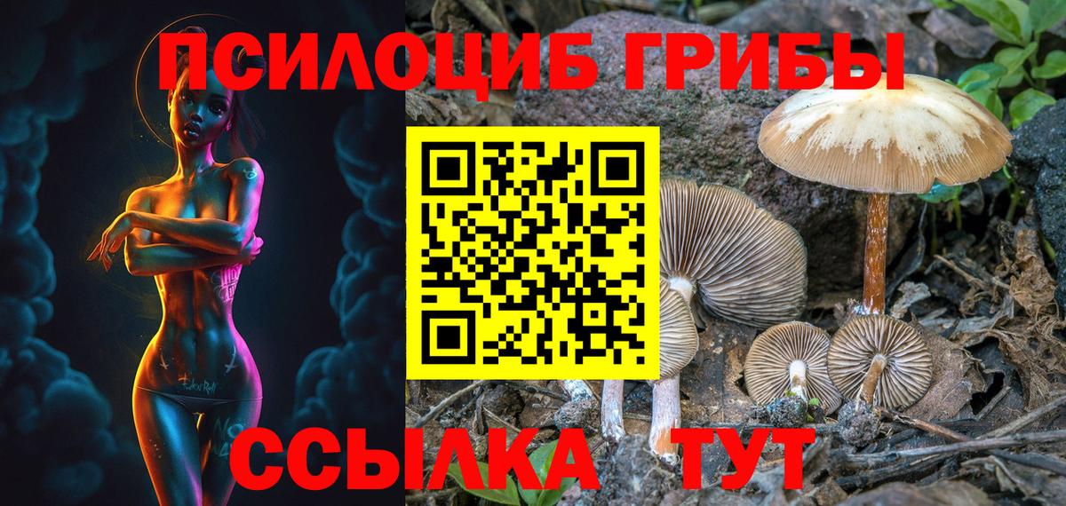 Тара  Псилоцибиновые грибы мухоморы  Вход с VPN 
