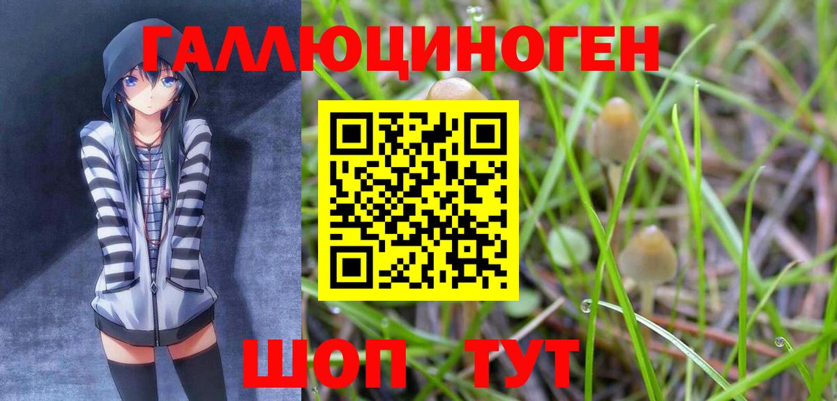 Галлюциногенные грибы ЛСД Тара